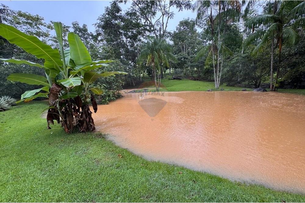 Chácara / Sítio / Fazenda - Venda - Jaru , Rondônia - e433e440-14b7-44be-9815-99fc792c8782.jpeg - 721551076-205