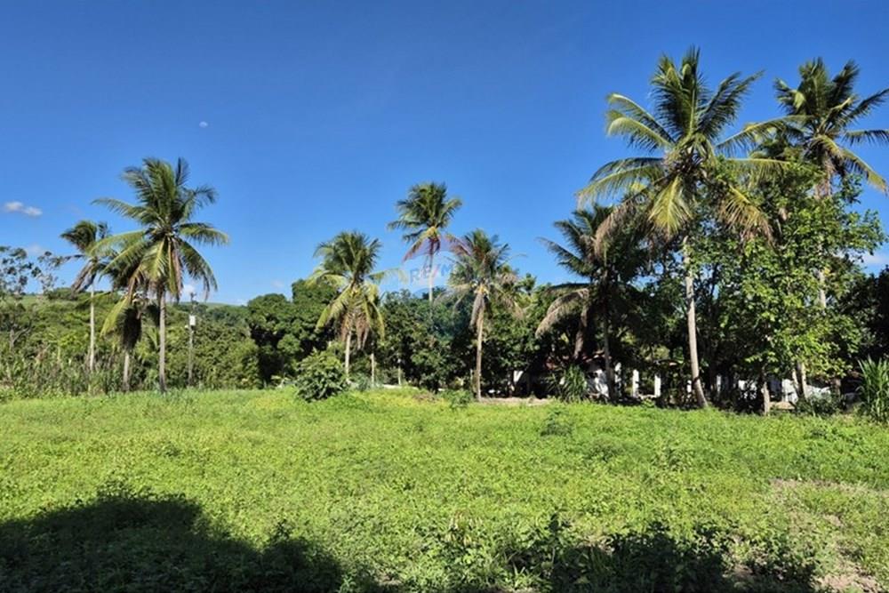 Chácara / Sítio / Fazenda - Venda - Mamanguape , Paraíba - 20250207_145344.jpg - 722011055-45