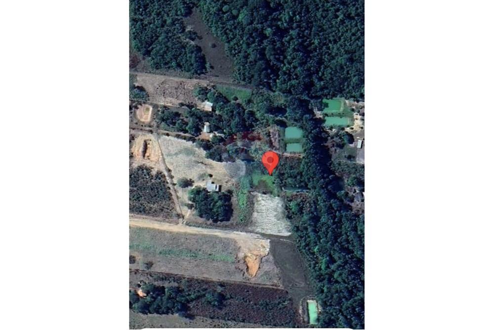 Chácara / Sítio / Fazenda - Venda - Confresa , Mato Grosso - Imagem do WhatsApp de 2025-07-28 à(s) 15.24.59_bacf9fb9.jpg - 720641046-2