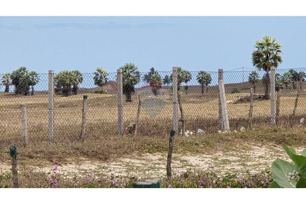 Terreno - Venda - Cruz , Ceará - 20250817_105704.jpg - 722341001-75