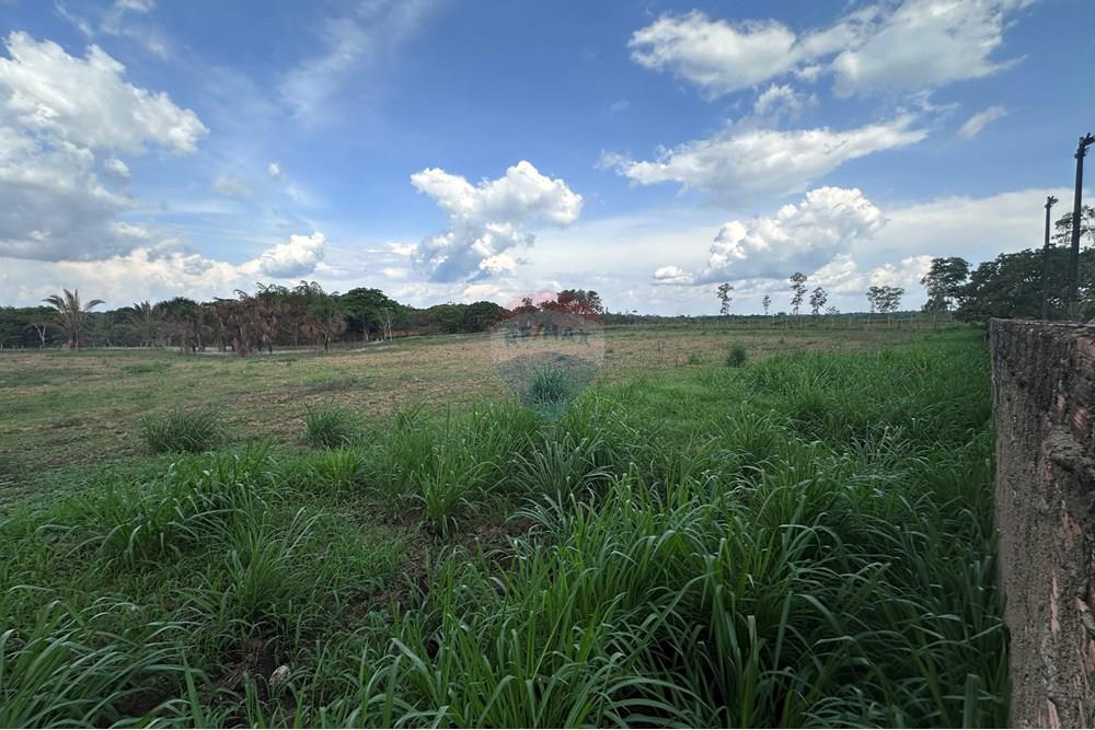 Chácara / Sítio / Fazenda - Venda - Porto Velho , Rondônia - IMG_3904.JPG - 721551076-208