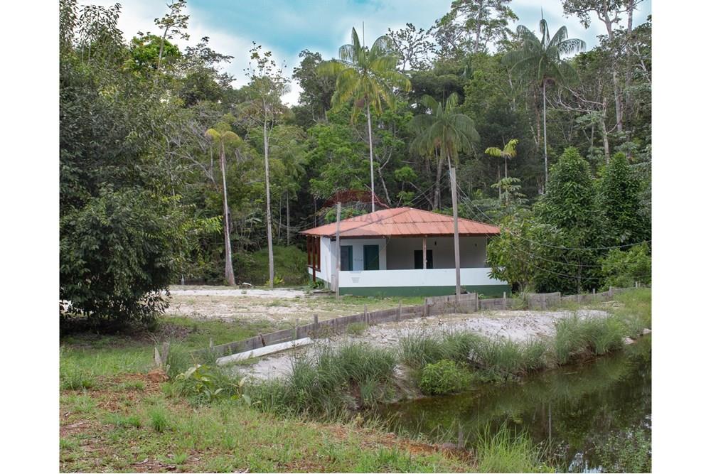 Chácara / Sítio / Fazenda - Venda - Novo Airão , Amazonas - IMG_7517-2.jpg - 720721055-29