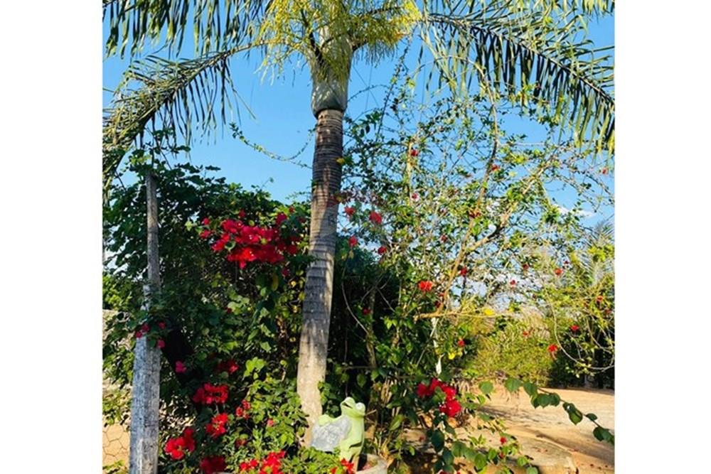 Chácara / Sítio / Fazenda - Venda - Parauapebas , Pará - IMG-20250908-WA0143.jpg - 722021013-13