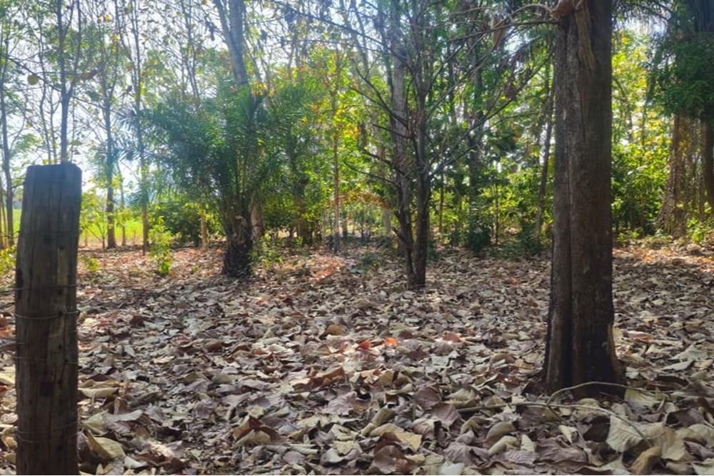 Chácara / Sítio / Fazenda - Venda - Araguaína , Tocantins - WhatsApp Image 2025-08-06 at 14.32.30 (2).jpeg - 722171039-19