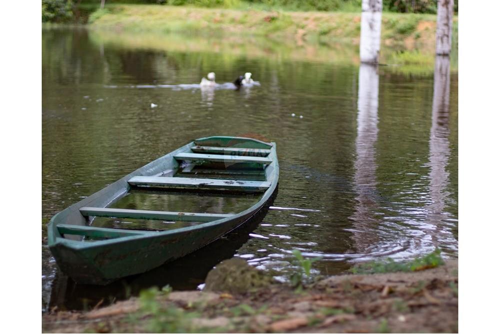 Chácara / Sítio / Fazenda - Venda - Novo Airão , Amazonas - IMG_7496.jpg - 720721055-29