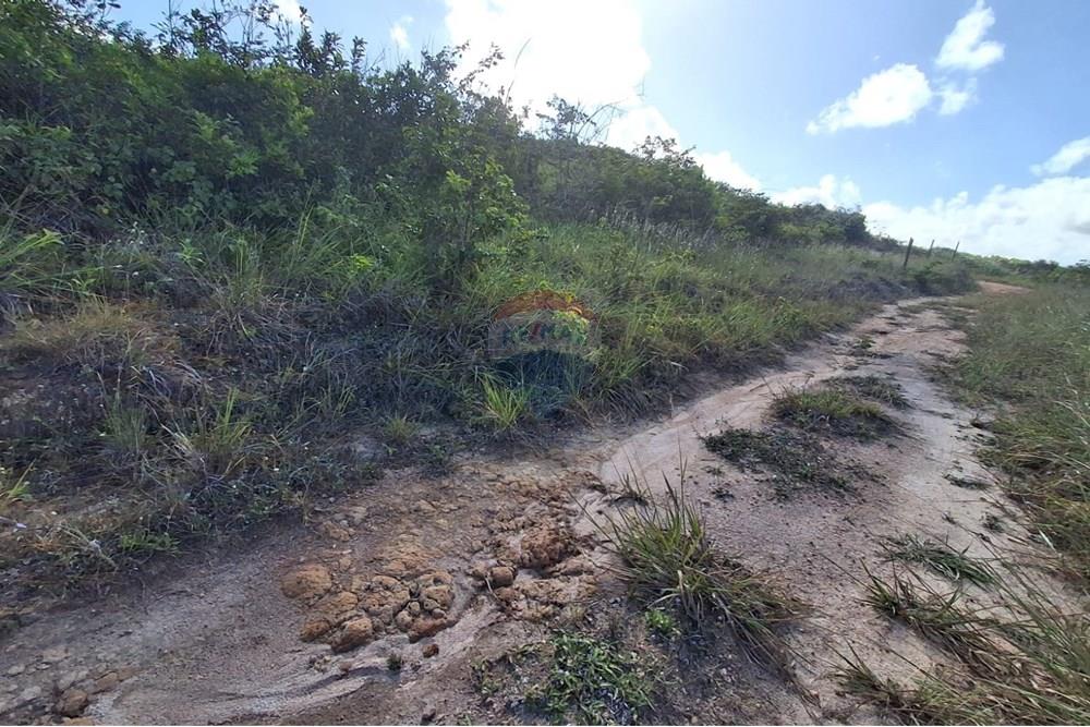 Terreno - Venda - Pitimbu , Paraíba - 1f4c5d44-d21c-485f-954e-e29a32f6c7d0.jpeg - 720871044-88