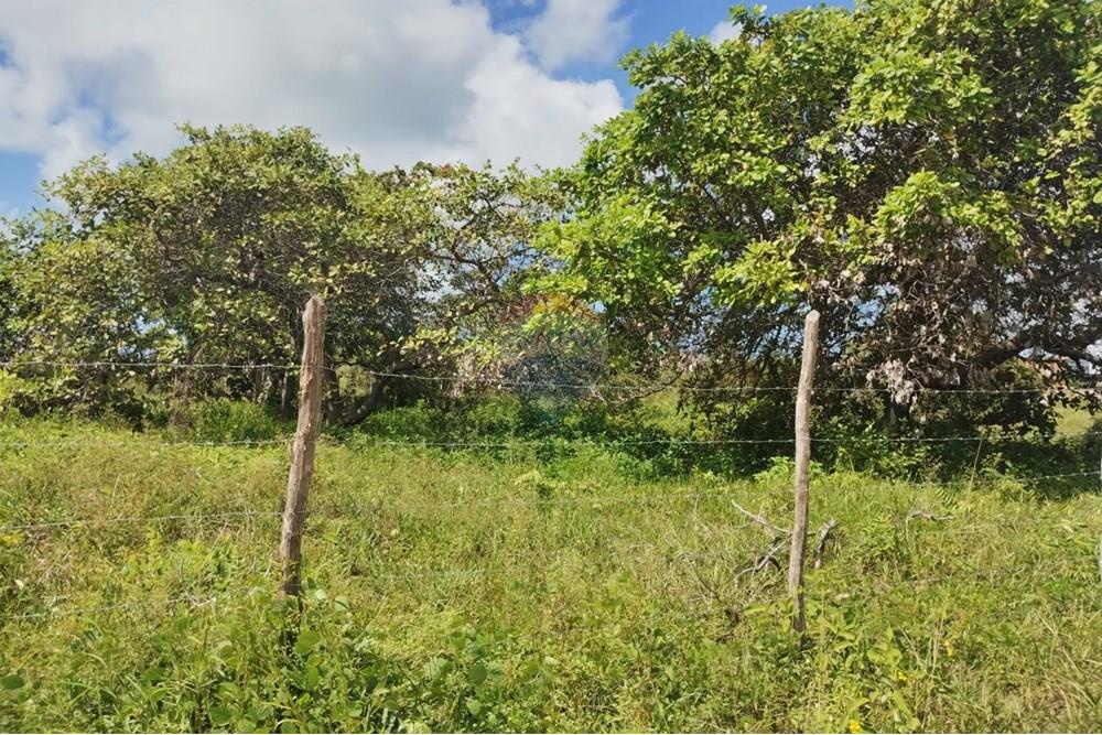 Terreno - Venda - Conde , Paraíba - 3f483e59-f722-4fda-af01-a449546dd00b.jpg - 720871056-11
