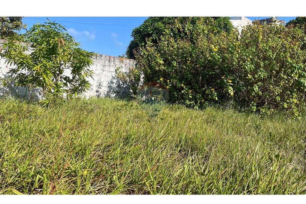 Terreno - Venda - Conde , Paraíba - WhatsApp Image 2025-10-16 at 14.18.37 (1).jpeg - 720871004-214