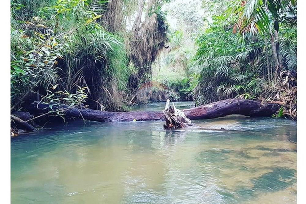Casa de Campo - Venda - Santarém , Pará - igarapé.jpeg - 722151008-18