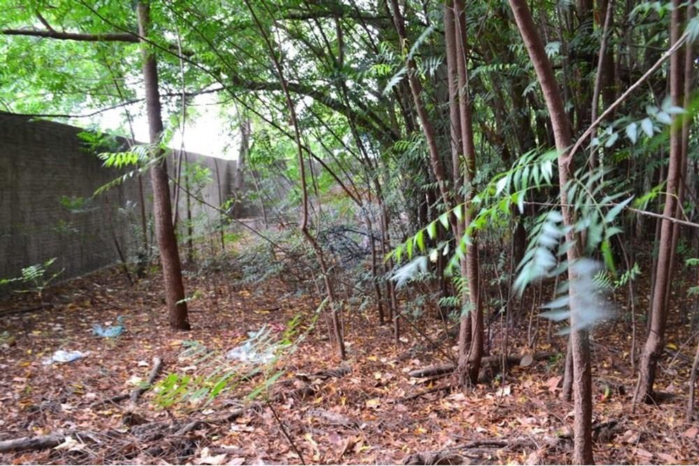 Terreno - Venda - Fortaleza , Ceará - WhatsApp Image 2025-10-01 at 09.56.35 (3).jpeg - 720971021-111