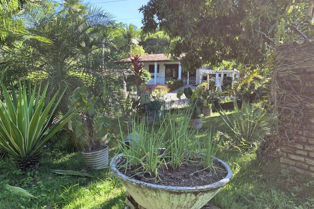 Chácara / Sítio / Fazenda - Venda - Mamanguape , Paraíba - 20250207_150500.jpg - 722011055-45