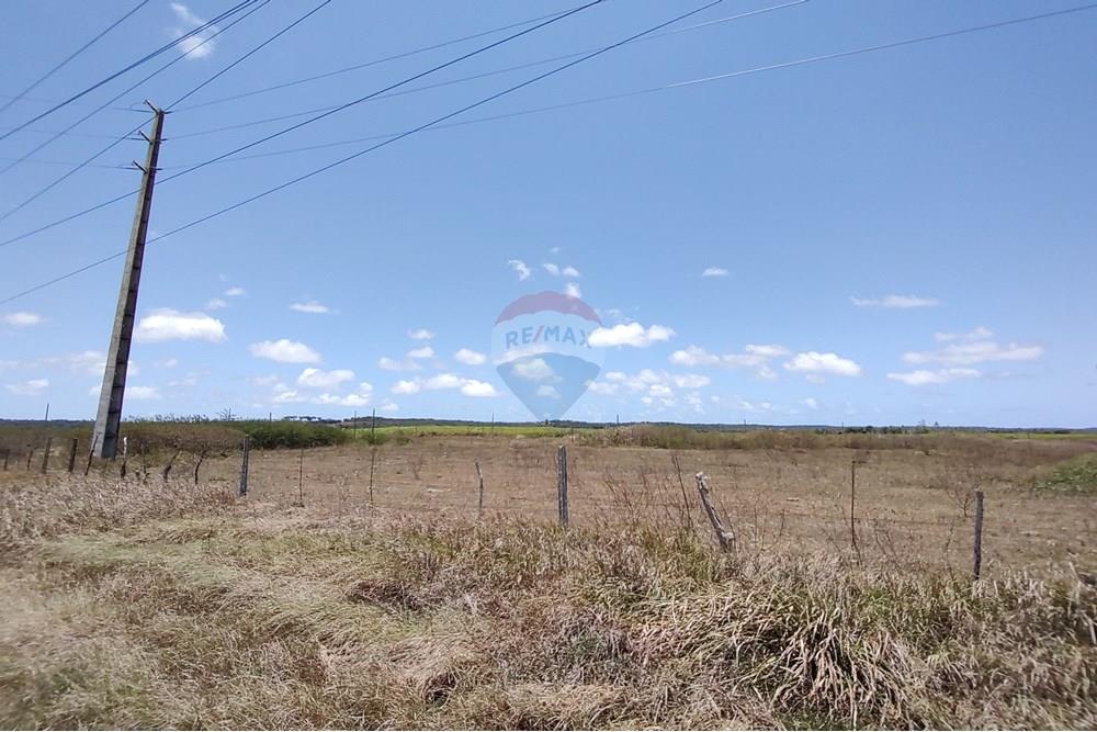 Terreno - Alugar - São José de Mipibu , Rio Grande do Norte - WhatsApp Image 2024-10-07 at 08.39.02 (2).jpeg - 720891134-413