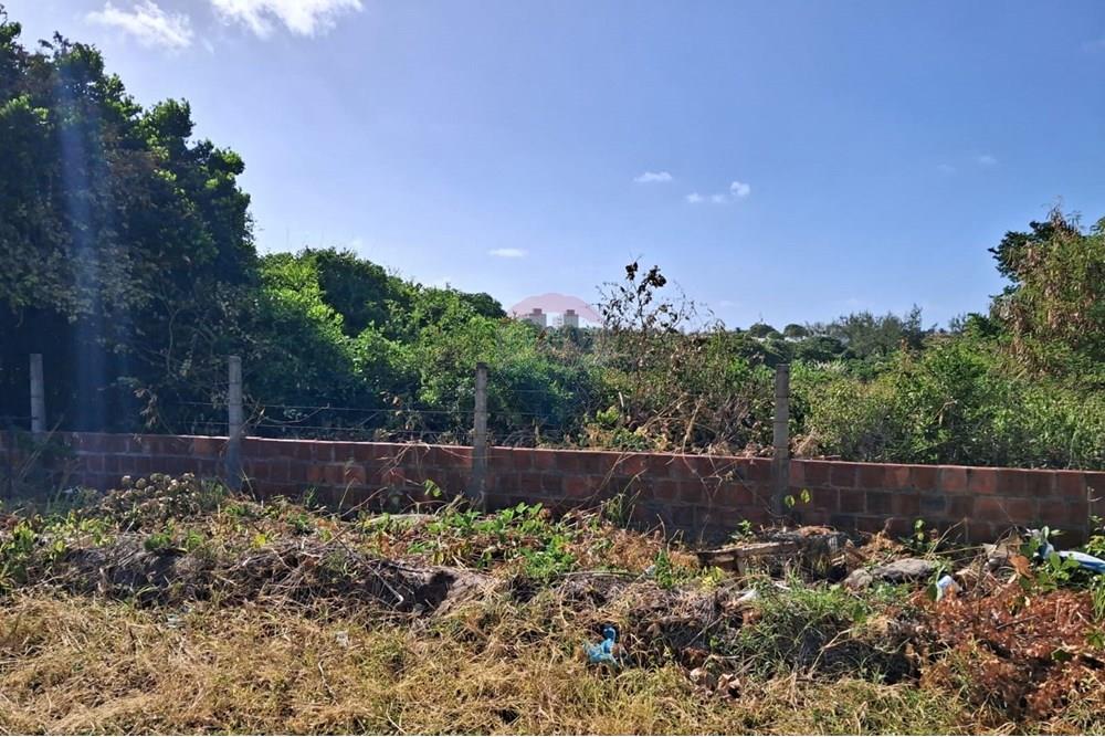 Terreno - Venda - Conde , Paraíba - 6b6b8e25-04bf-40d0-a292-30c7f54682ca.jpeg - 720871044-69