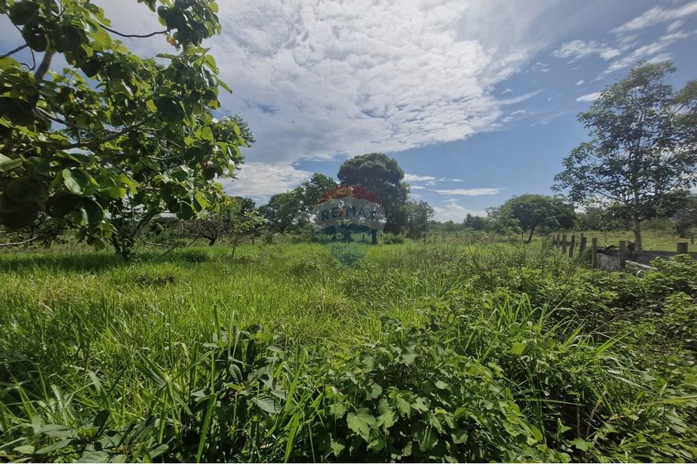 Chácara / Sítio / Fazenda - Venda - Barra do Garças , Mato Grosso - WhatsApp Image 2024-11-27 at 21.09.38 (1).jpeg - 722221026-15