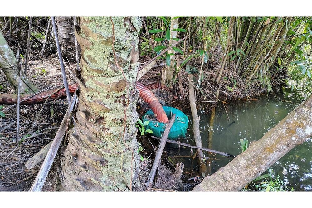 Chácara / Sítio / Fazenda - Venda - Conde , Paraíba - IMG_20251012_130424519_HDR_AE.jpg - 720871055-28