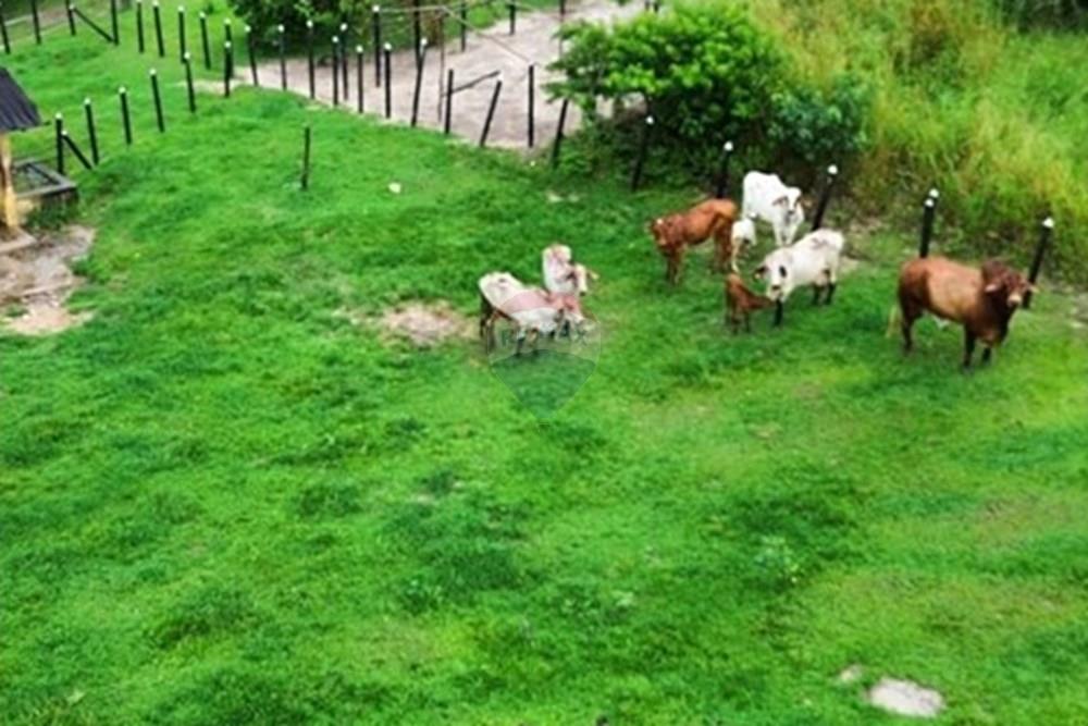 Terreno - Venda - Conde , Paraíba - WhatsApp Image 2025-05-30 at 09.14.45 (3).jpeg - 720871050-5