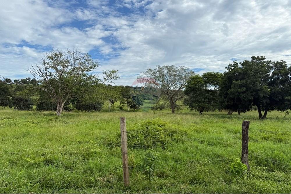 Chácara / Sítio / Fazenda - Venda - São José do Povo , Mato Grosso - IMG-20250407-WA0081.jpg - 720851027-112