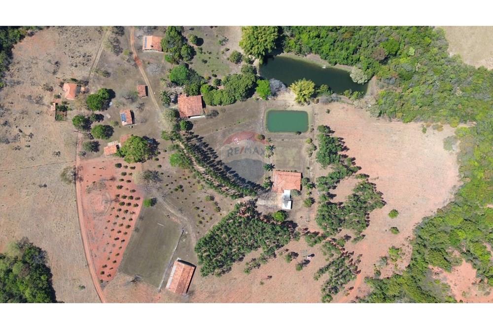 Chácara / Sítio / Fazenda - Venda - Catalão , Goiás - WhatsApp Image 2025-09-26 at 15.29.17 (1).jpeg - 722251002-53