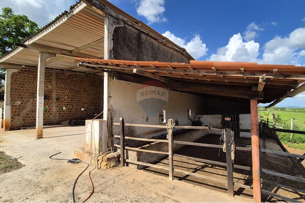 Chácara / Sítio / Fazenda - Venda - Riachão do Bacamarte , Paraíba - 20250215_144920.jpg - 722011055-39