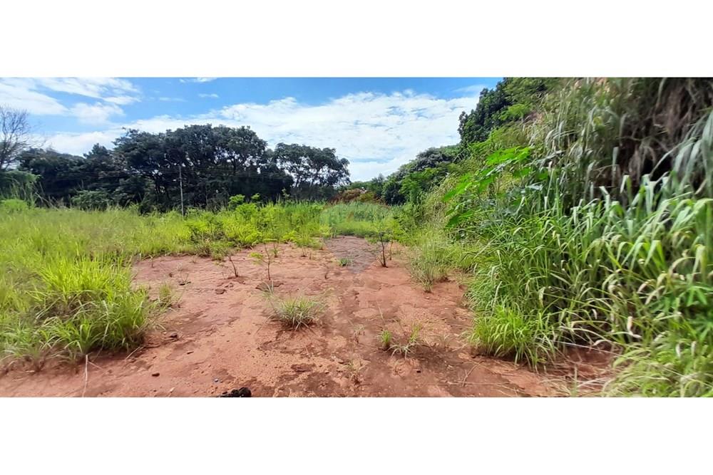 Terreno - Venda - Goiânia , Goiás - LOTE. (8).JPEG.jpg - 722271015-17