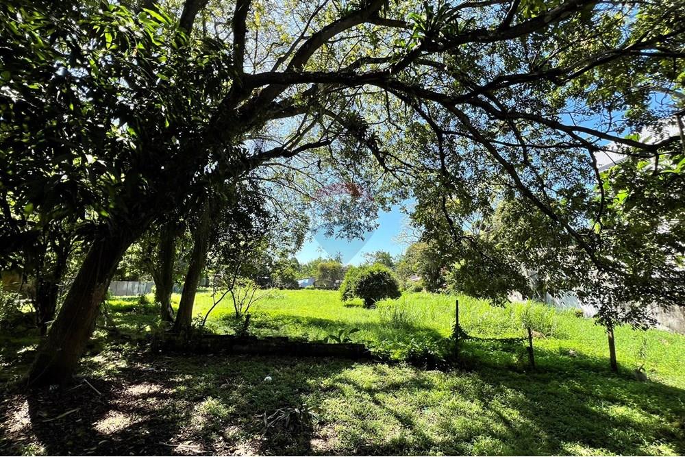 Terreno - Venda - Belém , Pará - IMG_3131.JPEG - 720921007-118