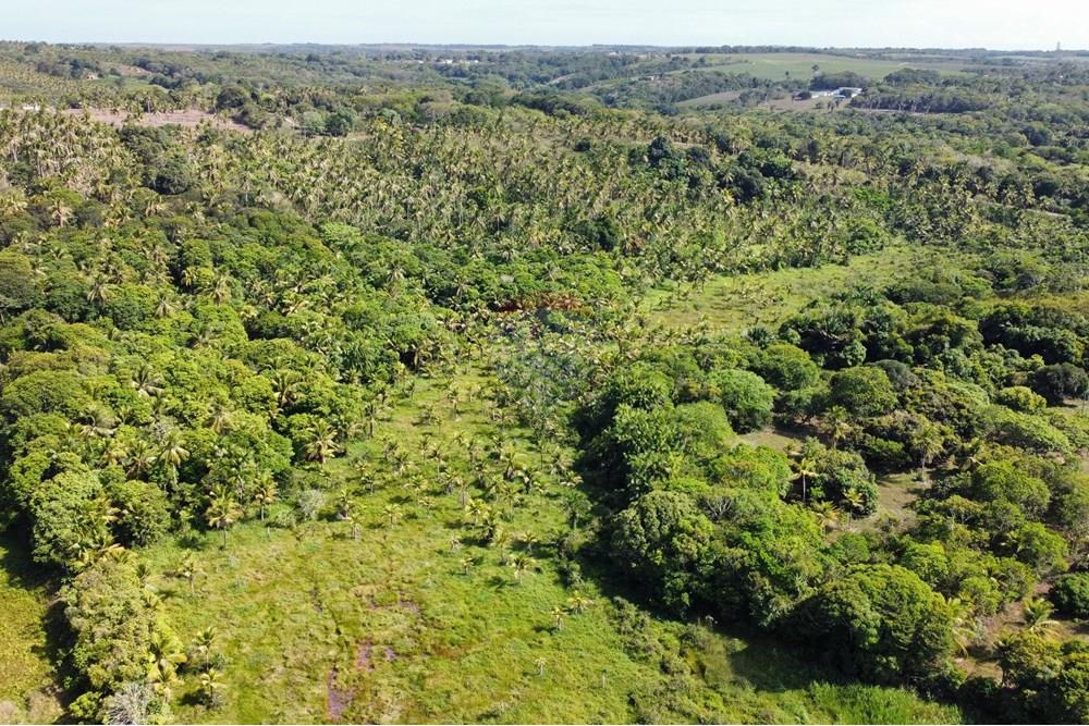 Chácara / Sítio / Fazenda - Venda - Conde , Paraíba - dji_fly_20250123_142546_392_1737653266189_photo_optimized1.jpg - 722011055-36