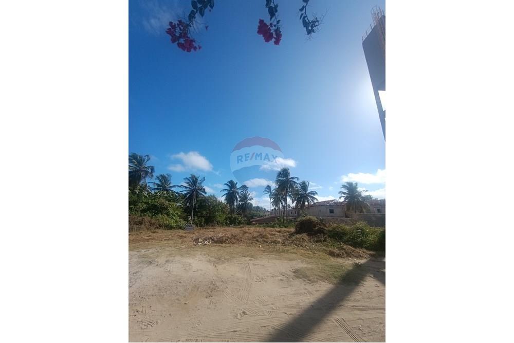 Terreno - Venda - Trairi , Ceará - IMG_20250815_080254.jpg - 722341005-3