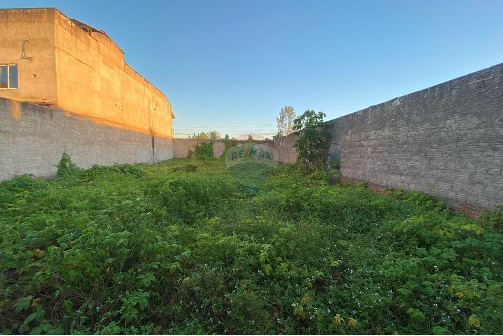 Terreno - Venda - Parnamirim , Rio Grande do Norte - IMG_5559 lote 15 tratada.jpg - 720811015-75