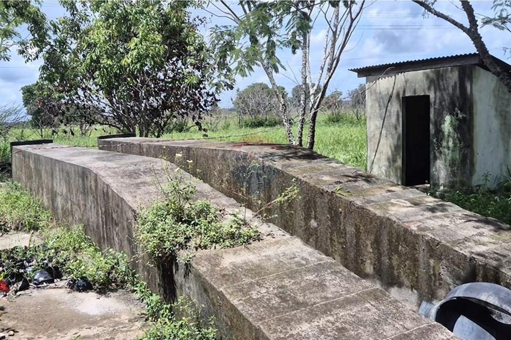 Galpão - Venda - Pedras de Fogo , Paraíba - VideoCapture_20250401-175141.jpg - 722011055-41