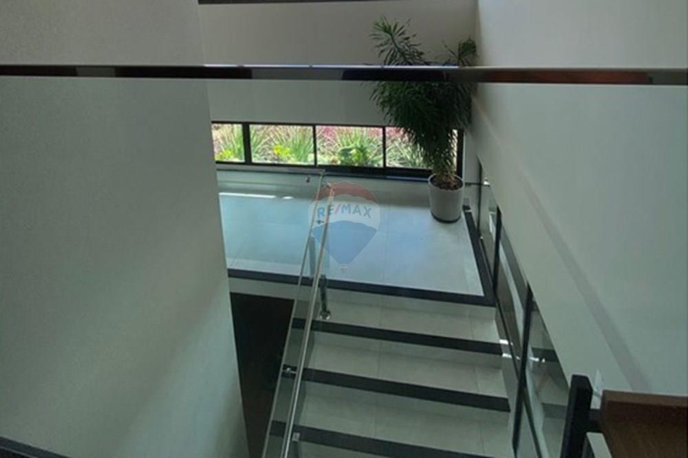 Terreno - Venda - Campina Grande , Paraíba - WhatsApp Image 2025-07-07 at 15.03.21 (2).jpeg - 720881042-9