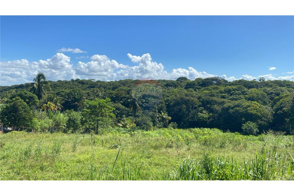 Chácara / Sítio / Fazenda - Venda - Nísia Floresta , Rio Grande do Norte - 6 - 720891068-68