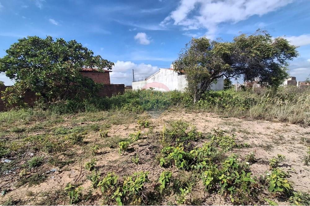 Terreno - Venda - Conde , Paraíba - 51a3fcd5-f531-4e14-9b6f-3f026bb890b8.jpeg - 720871044-39