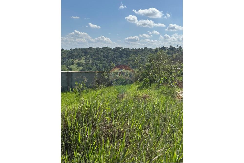 Terreno - Venda - Bananeiras , Paraíba - WhatsApp Image 2025-01-22 at 09.47.01 (1).jpeg - 720551002-74