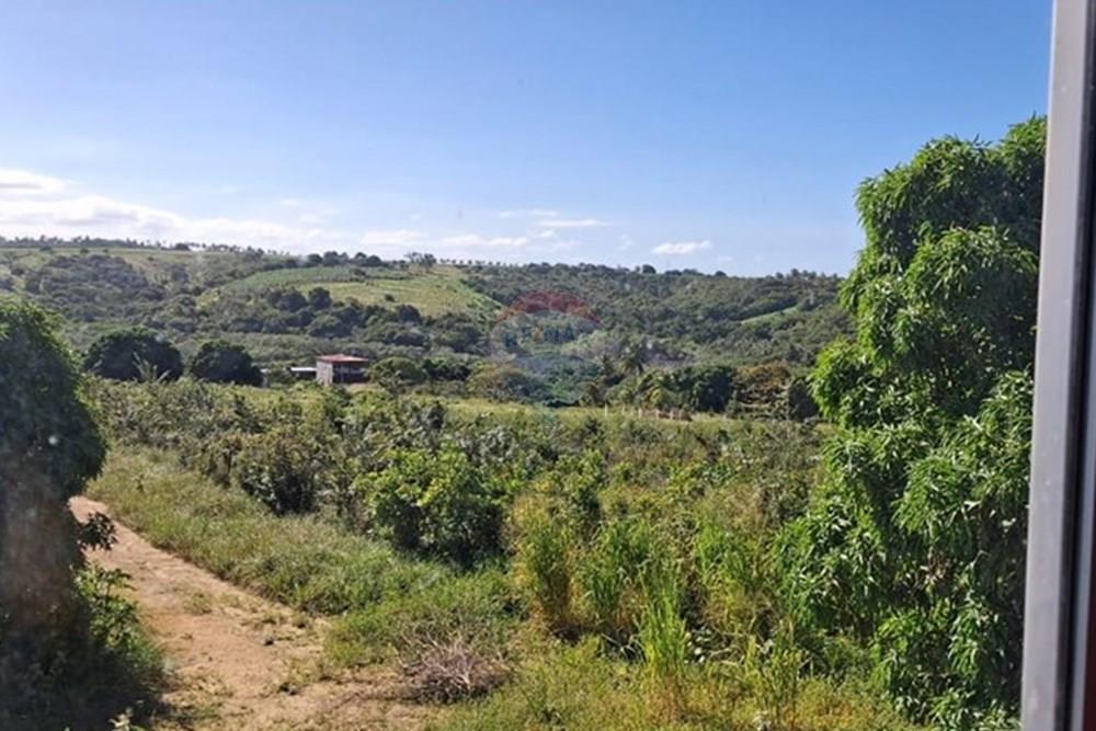 Casa - Venda - Pitimbu , Paraíba - f42fc266-24dc-489c-b2c4-4625baaea447.jpeg - 720871044-84