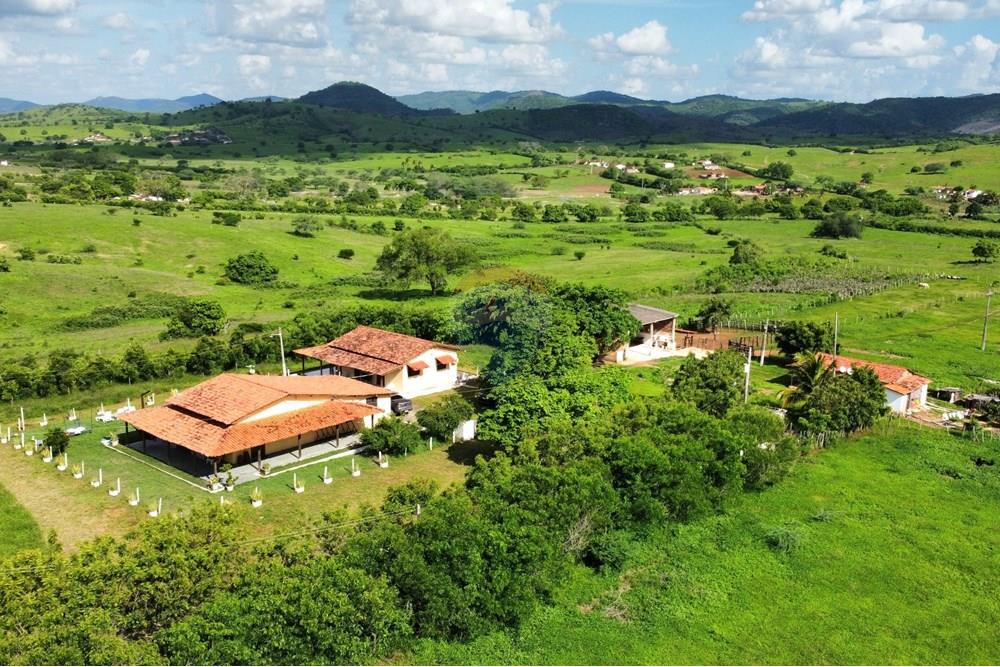 Chácara / Sítio / Fazenda - Venda - Riachão do Bacamarte , Paraíba - dji_fly_20250215_145528_456_1739642359407_photo_optimized.jpg - 722011055-39