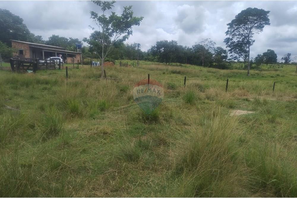 Chácara / Sítio / Fazenda - Venda - Confresa , Mato Grosso - IMG-20250926-WA0036 - Copia.jpg - 720641046-11