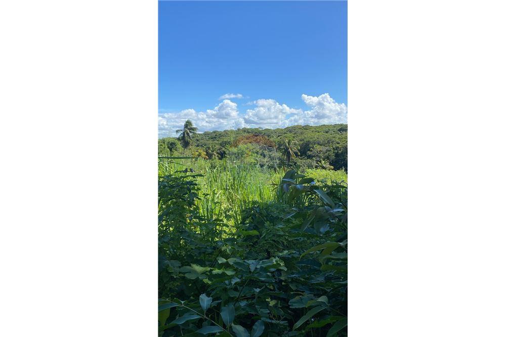 Chácara / Sítio / Fazenda - Venda - Nísia Floresta , Rio Grande do Norte - 10 - 720891068-68