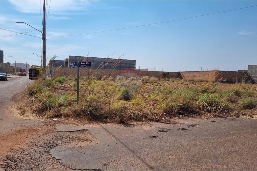 Terreno - Venda - Confresa , Mato Grosso - IMG-20250915-WA0049.jpg - 720641046-6