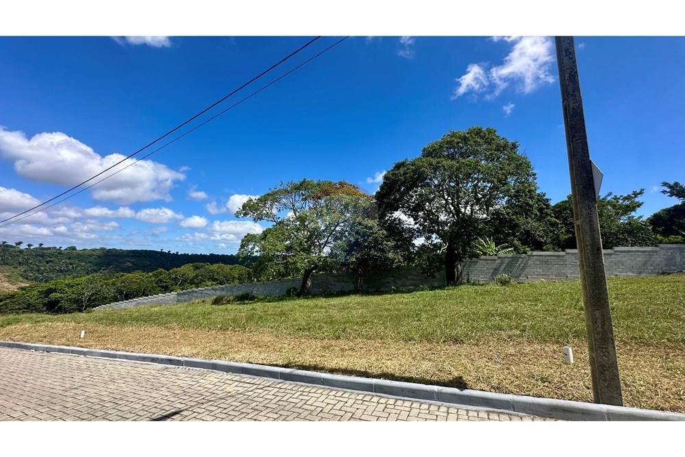 Terreno - Venda - Bananeiras , Paraíba - IMG_0148.jpg - 722001026-33