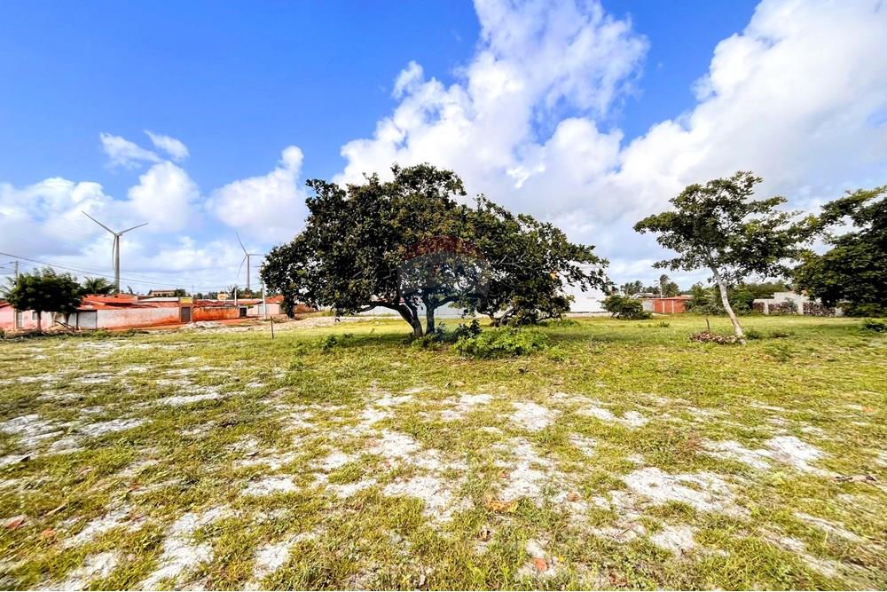 Terreno - Venda - São Miguel do Gostoso , Rio Grande do Norte - WhatsApp Image 2025-06-28 at 09.43.34 (2).jpeg - 720891024-210