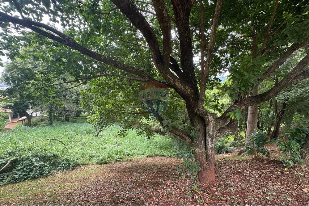 Terreno - Venda - Goiânia , Goiás - WhatsApp Image 2025-03-17 at 15.17.36.jpeg - 722271003-33