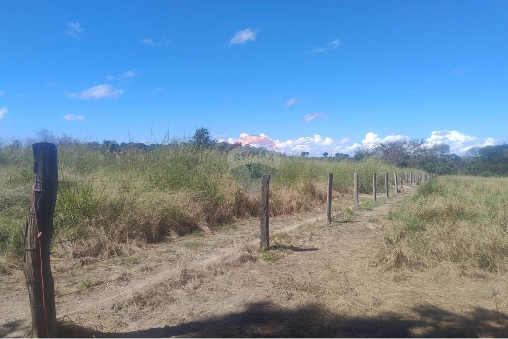 Chácara / Sítio / Fazenda - Venda - Confresa , Mato Grosso - IMG-20250926-WA0027.jpg - 720641046-11