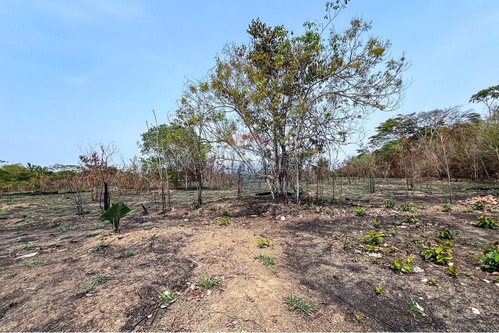 Chácara / Sítio / Fazenda - Venda - Candeias do Jamari , Rondônia - IMG_9103.jpg - 721551046-25