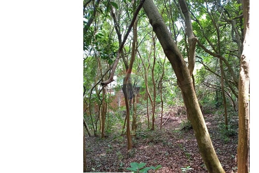 Terreno - Venda - Tibau do Sul , Rio Grande do Norte - Gustavo12.jpeg - 720891150-75