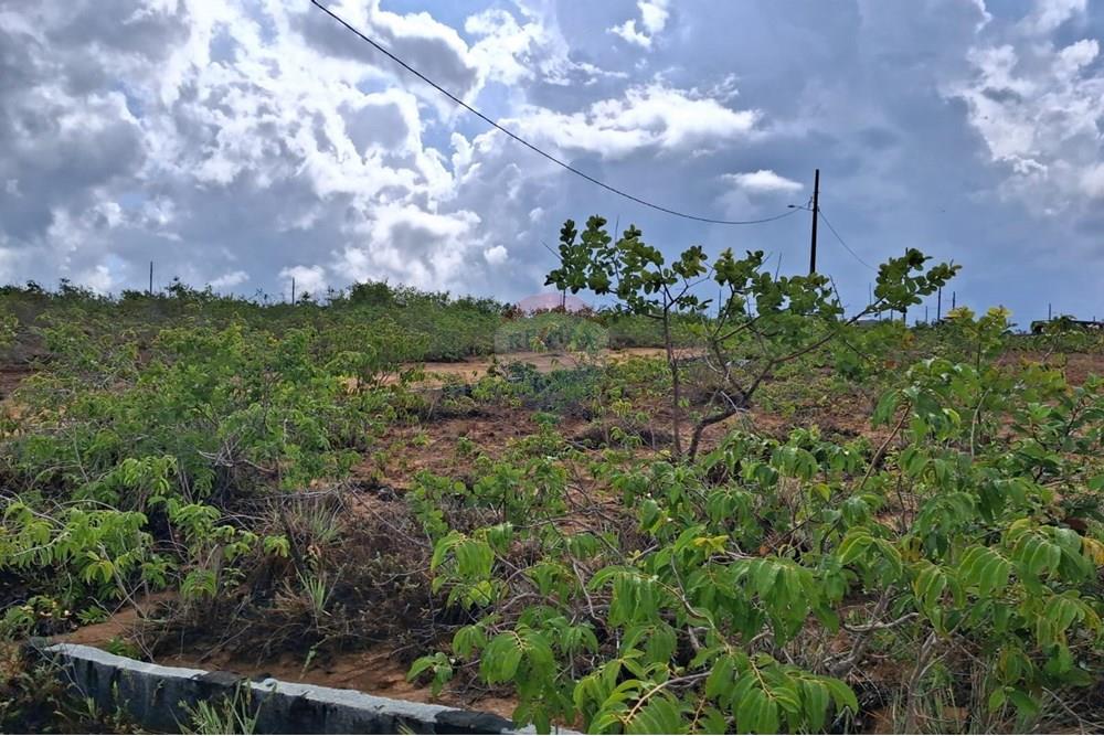 Terreno - Venda - Conde , Paraíba - 556b7283-ec86-4653-9e94-9b483fca561c.jpeg - 720871044-31