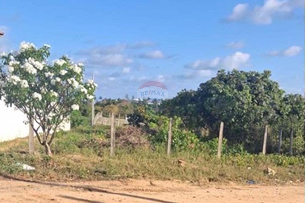 Terreno - Venda - Conde , Paraíba - 419e0adc-eba4-41ef-ad6f-fa75e68053d9.jpeg - 720871044-98