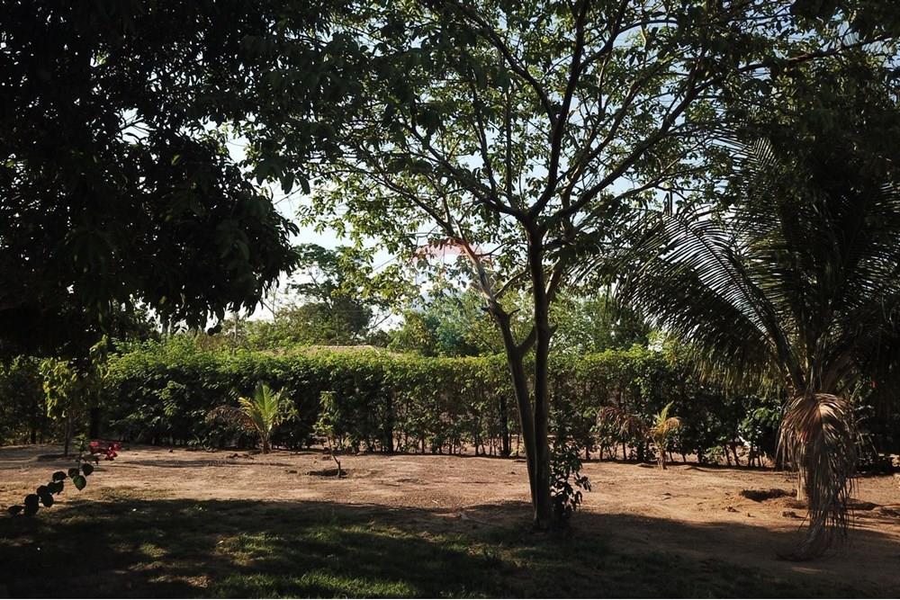 Chácara / Sítio / Fazenda - Venda - Parauapebas , Pará - IMG-20250908-WA0164.jpg - 722021013-13