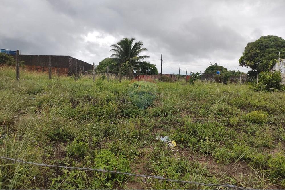 Terreno - Venda - Conde , Paraíba - 698c8946-1b21-46ac-990a-d4cfeaf563bf.jpeg - 720871031-78