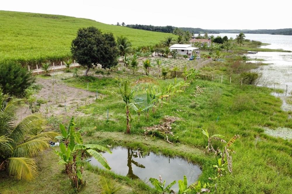 Chácara / Sítio / Fazenda - Venda - Alhandra , Paraíba - dji_fly_20250907_152346_892_1757269459275_photo_optimized.jpg - 722011055-48