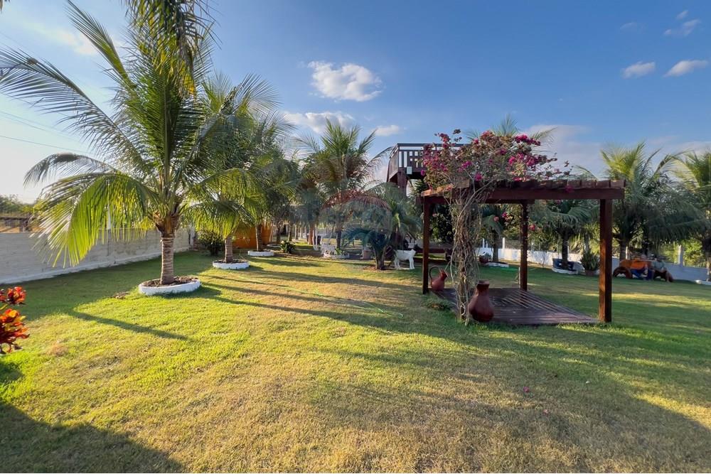 Chácara / Sítio / Fazenda - Venda - Porto Velho , Rondônia - N 21.jpg - 721551019-230